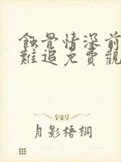 蚀骨情深前妻太难追免费观看