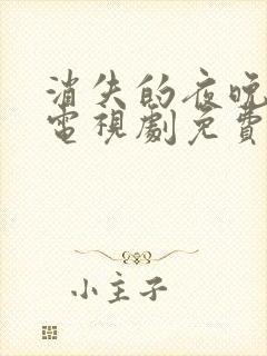 消失的夜晚韩剧电视剧免费观看全集