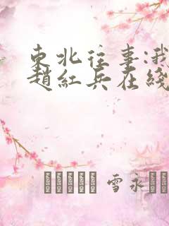 东北往事:我叫赵红兵在线观看播放