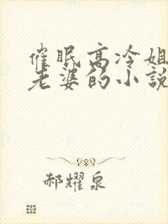 催眠高冷姐姐当老婆的小说