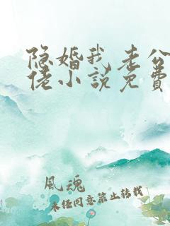 隐婚我老公是大佬小说免费阅读