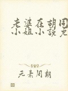 老婆在胡同里扮小姐小说免费阅读