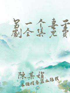 另一个妻子电视剧全集免费观看