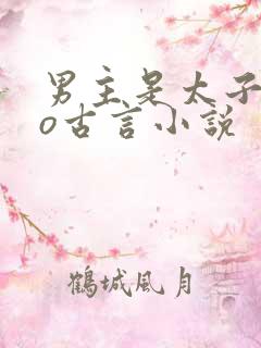 男主是太子的po古言小说