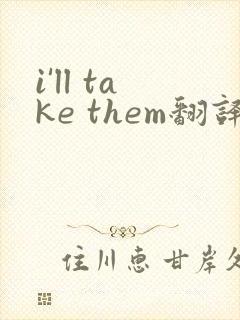 i'll take them翻译