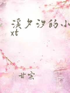 溪夕汐的小说txt