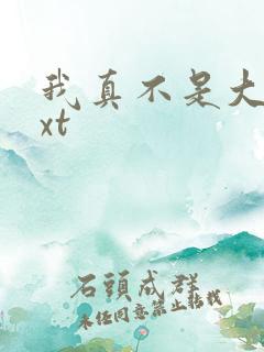 我真不是大佬txt