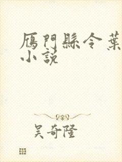 雁门县令叶青的小说