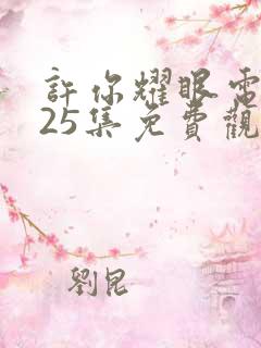 许你耀眼电视剧25集免费观看