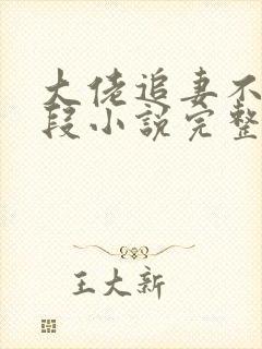 大佬追妻不择手段小说完整版本