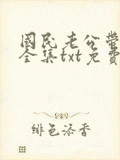国民老公带回家全集txt免费下载