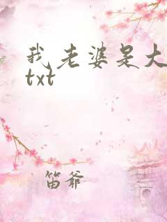 我老婆是大明星txt