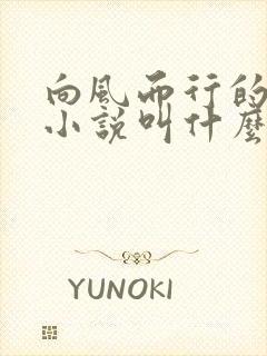 向风而行的原著小说叫什么