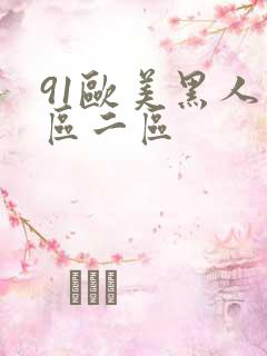 91欧美黑人一区二区