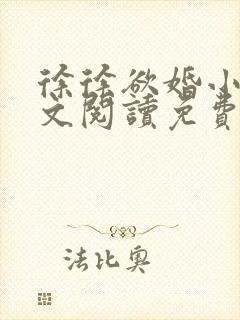 徐徐欲婚小说全文阅读免费