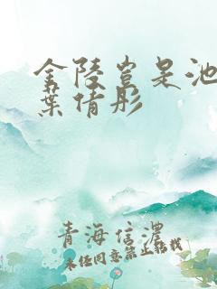 金陵岂是池中物叶倩彤