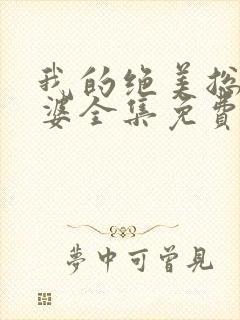 我的绝美总裁老婆全集免费