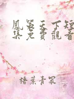 凤策天下短剧全集免费观看