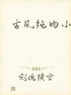古风纯肉小说