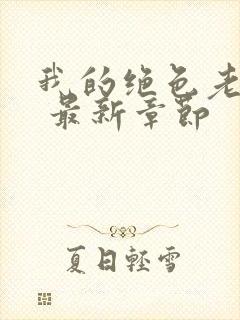 我的绝色老板娘 最新章节