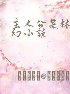 主人公是林天玄幻小说