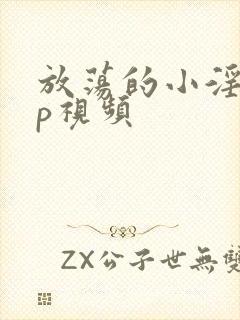 放荡的小淫妇3p视频