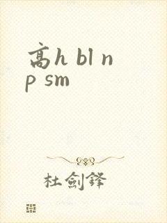 高h bl np sm