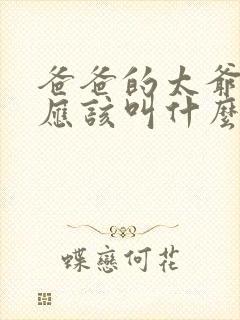 爸爸的太爷爷我应该叫什么