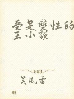 受是双性的双男主小说