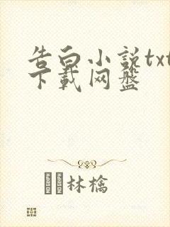 告白小说txt下载网盘