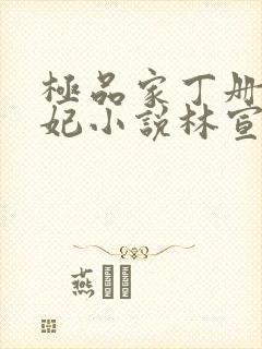 极品家丁册母为妃小说林宣