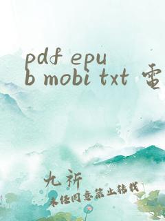 pdf epub mobi txt 电子书