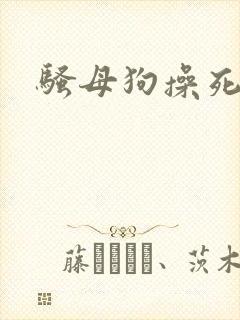 骚母狗操死你