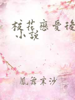 校花恋爱后小说 小说