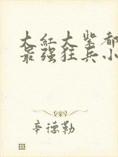 大红大紫都市之最强狂兵小说