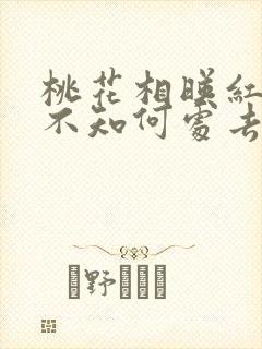 桃花相映红人面不知何处去桃花依旧笑春风