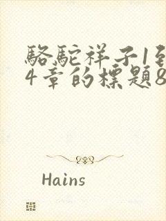 骆驼祥子1到24章的标题8字