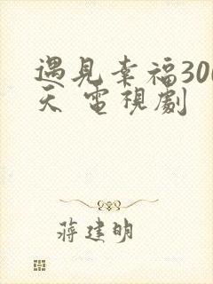 遇见幸福300天 电视剧