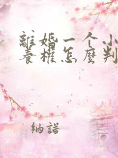 离婚一个小孩抚养权怎么判