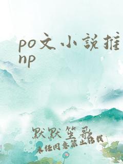 po文小说推荐np