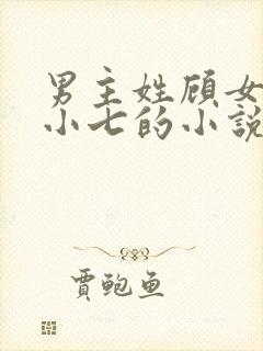 男主姓顾女主叫小七的小说