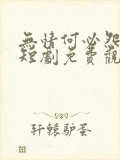 无情何必怨相逢短剧免费观看