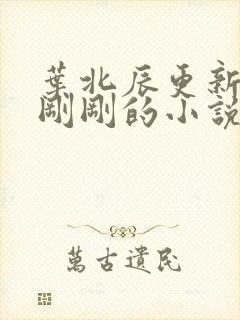 叶北辰更新最快刚刚的小说