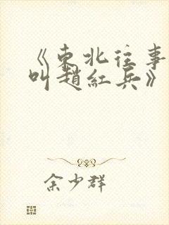 《东北往事:我叫赵红兵》电影