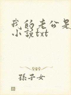 我的老公是冥王小说txt