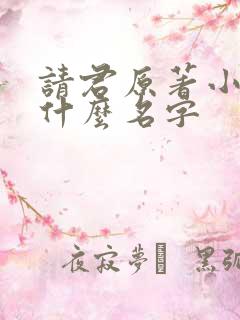 请君原著小说叫什么名字