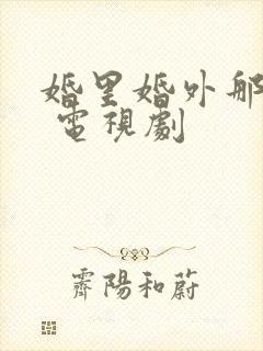 婚里婚外那些事 电视剧