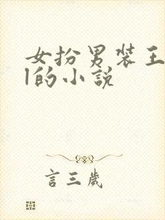 女扮男装王爷gl的小说