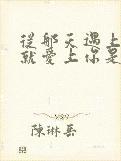 从那天遇上你我就爱上你是什么歌