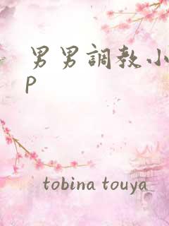 男男调教小说sp